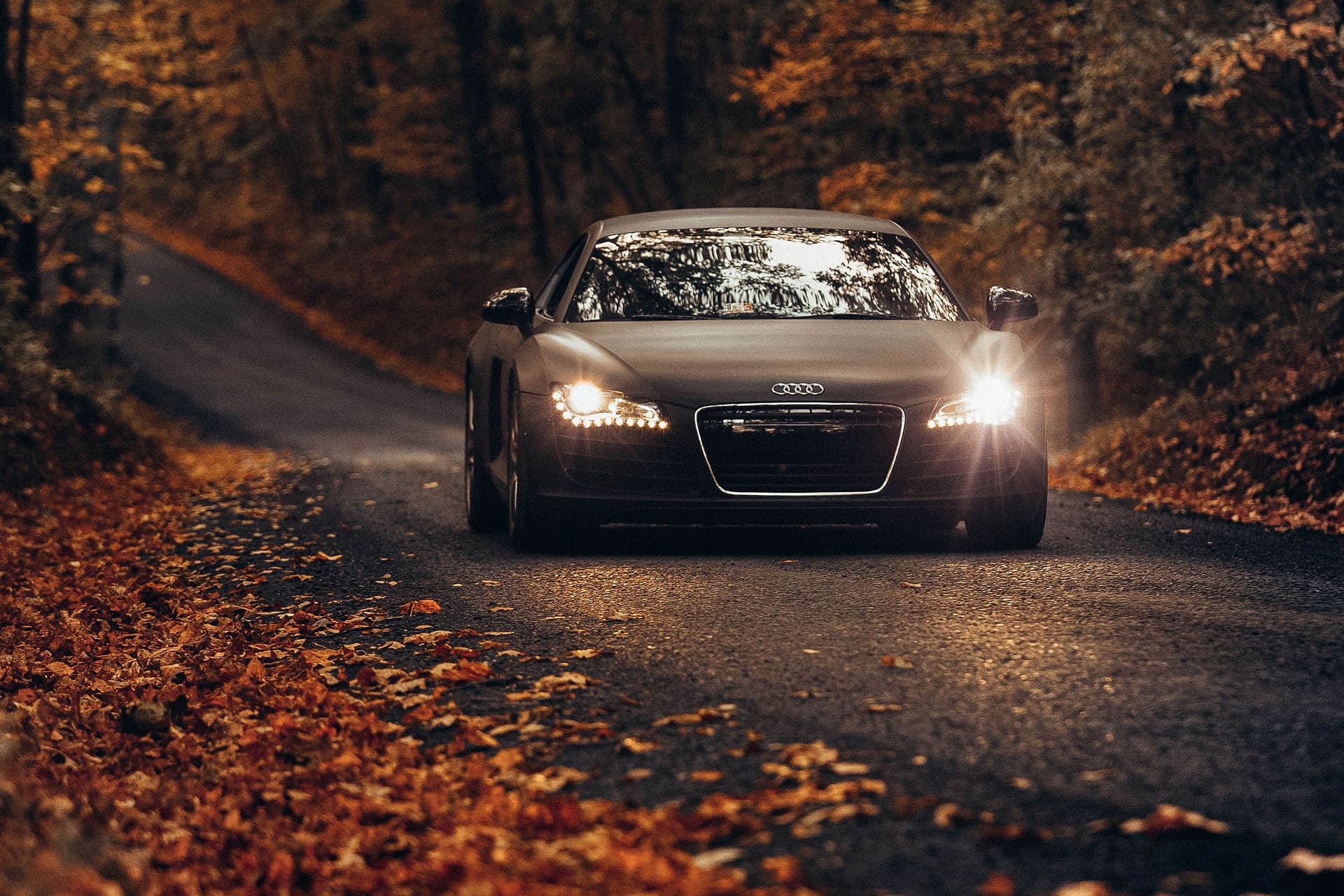 Audi driving on a road in the autumn